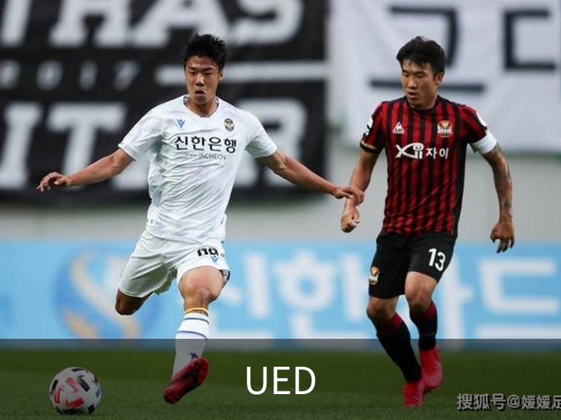 UED品牌故事